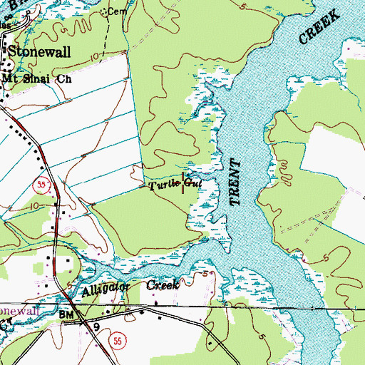 Topographic Map of Turtle Gut, NC