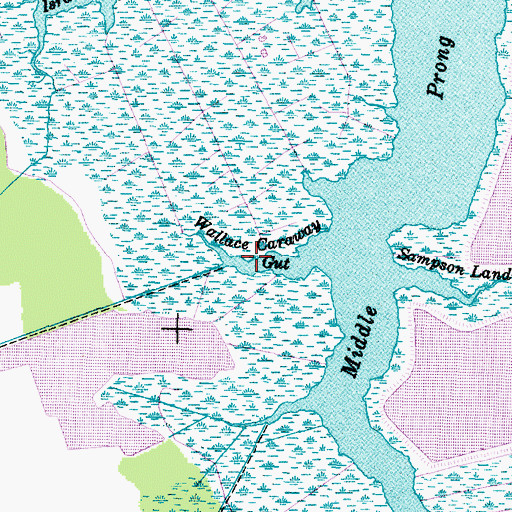 Topographic Map of Wallace Caraway Gut, NC