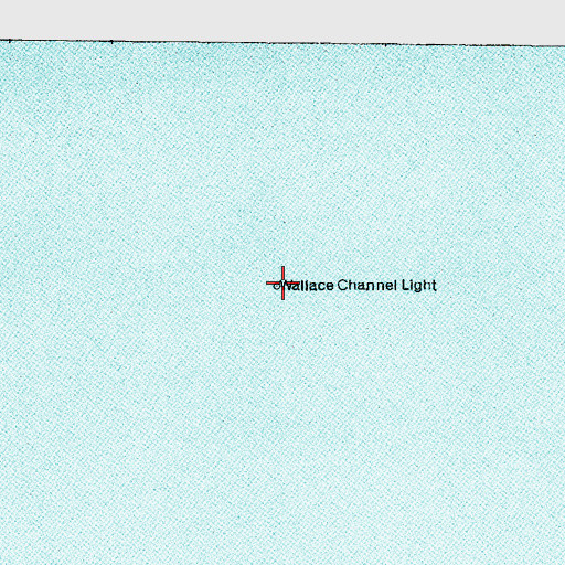 Topographic Map of Wallace Channel Light, NC