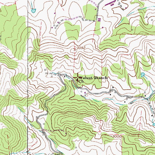 Topographic Map of Walnut Branch Church, NC