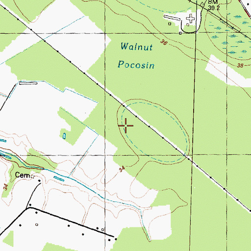 Topographic Map of Walnut Pocosin, NC