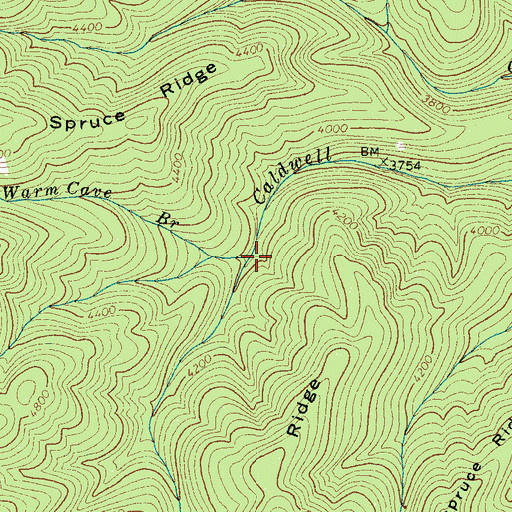 Topographic Map of Warm Cove Branch, NC