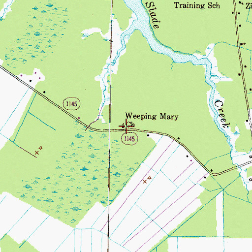 Topographic Map of Weeping Mary Church, NC