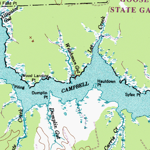Topographic Map of Welshman Gut, NC