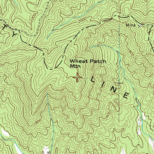 Topographic Map of Wheat Patch Mountain, NC