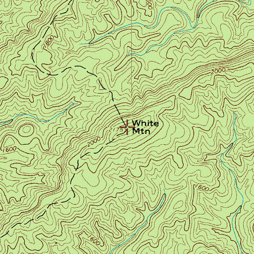 Topographic Map of White Mountain, NC
