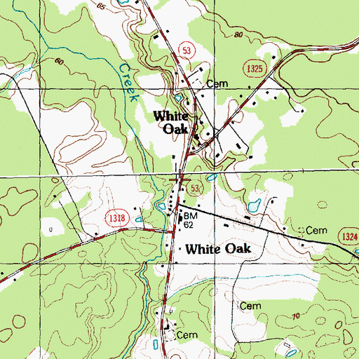 Topographic Map of White Oak, NC