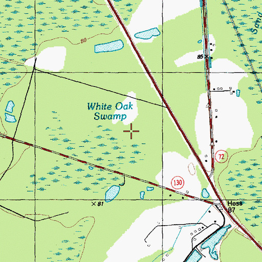 Topographic Map of White Oak Swamp, NC