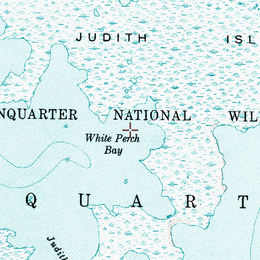 Topographic Map of White Perch Bay, NC