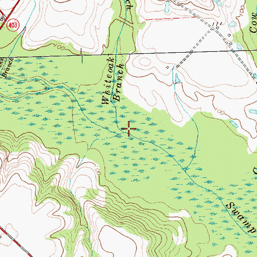 Topographic Map of Whiteoak Branch, NC