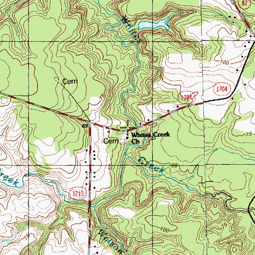 Topographic Map of Whites Creek Church, NC