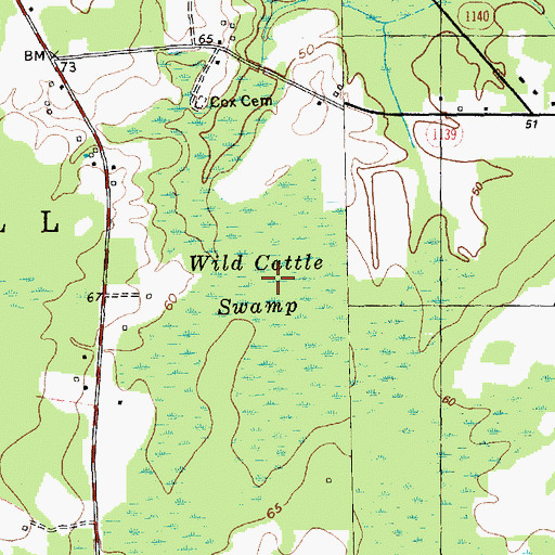 Topographic Map of Wild Cattle Swamp, NC