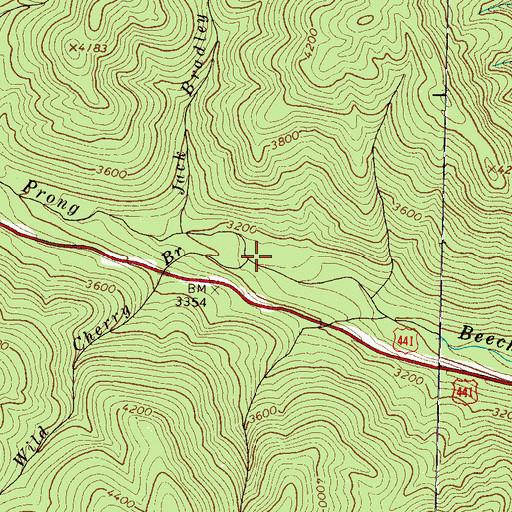 Topographic Map of Wild Cherry Branch, NC