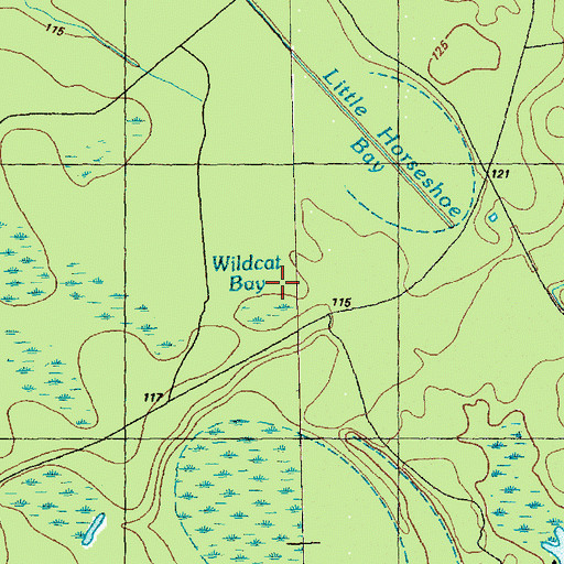 Topographic Map of Wildcat Bay, NC
