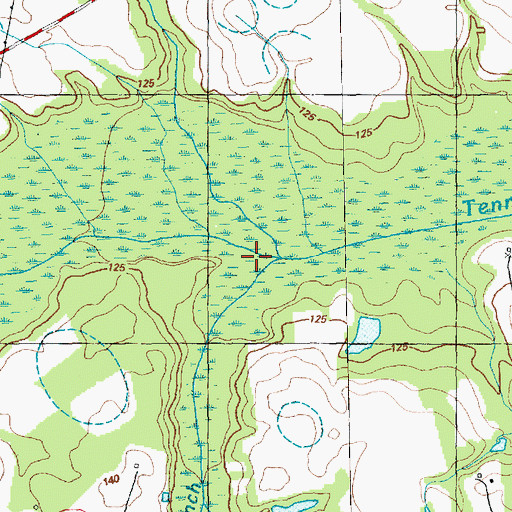 Topographic Map of Wildcat Branch, NC