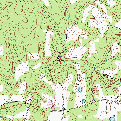 Topographic Map of Wildcat Branch, NC