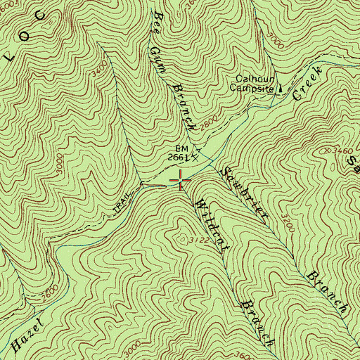 Topographic Map of Wildcat Branch, NC