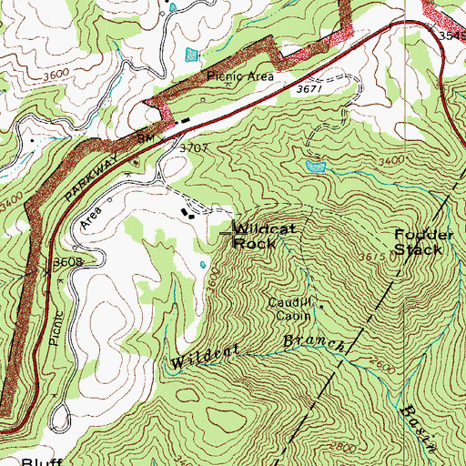 Topographic Map of Wildcat Rock, NC