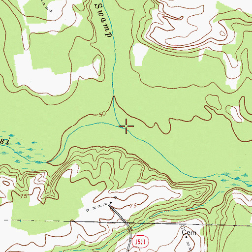 Topographic Map of Wildcat Swamp, NC
