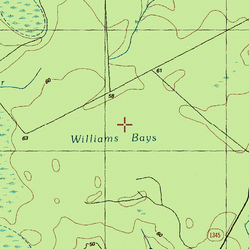 Topographic Map of Williams Bays, NC