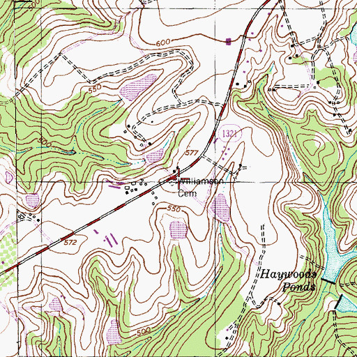 Topographic Map of Williamson Cemetery, NC