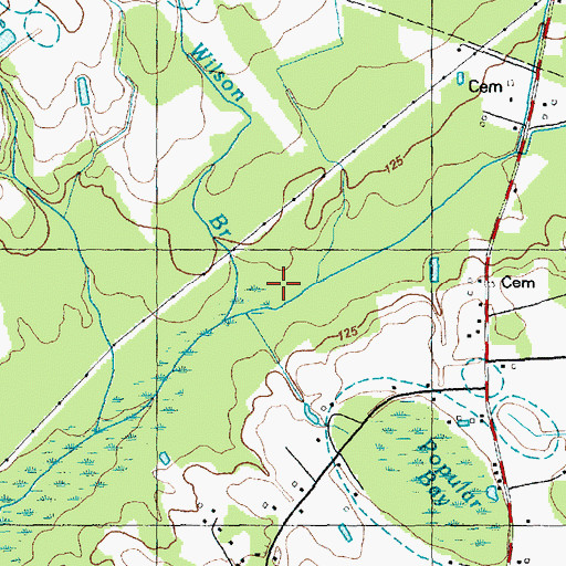 Topographic Map of Wilson Branch, NC