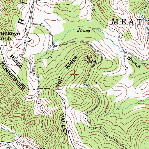 Topographic Map of Wolf Ridge, NC