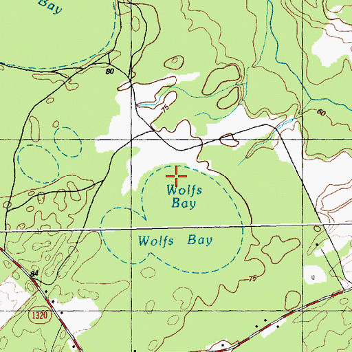 Topographic Map of Wolfs Bay, NC