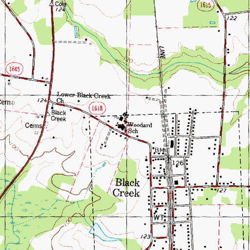 Topographic Map of Woodard School, NC