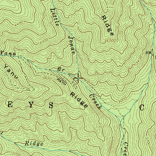 Topographic Map of Yanu Branch, NC
