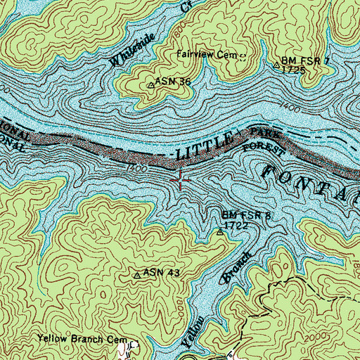 Topographic Map of Yellow Branch, NC