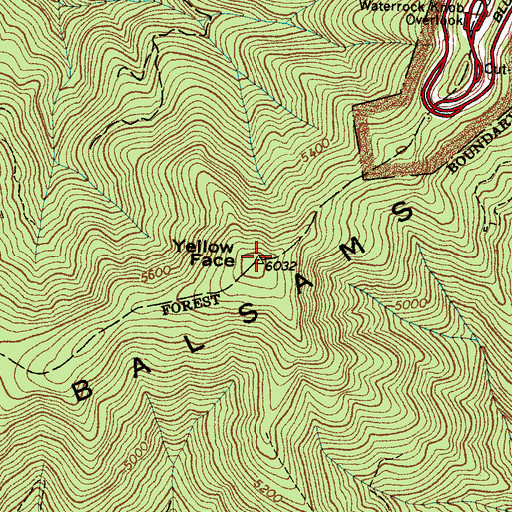 Topographic Map of Yellow Face, NC