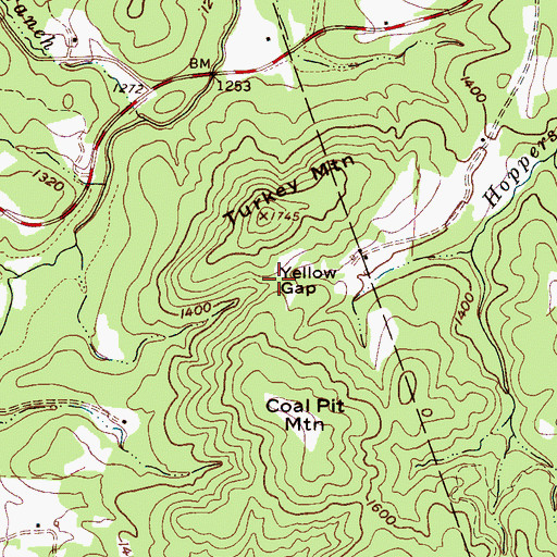 Topographic Map of Yellow Gap, NC