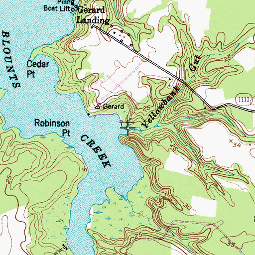 Topographic Map of Yellowbank Gut, NC