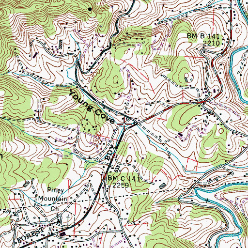 Topographic Map of Young Cove, NC