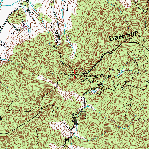 Topographic Map of Young Gap, NC