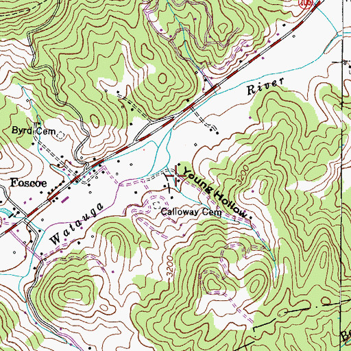 Topographic Map of Young Hollow, NC