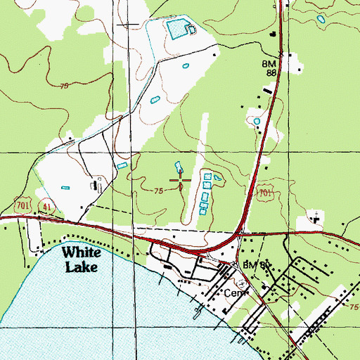 Topographic Map of White Lake Airport (historical), NC