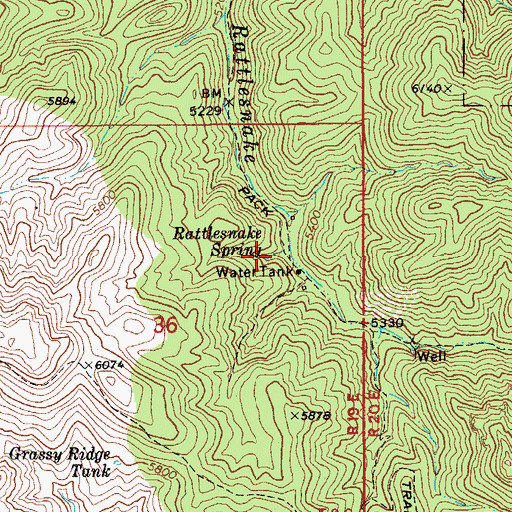 Topographic Map of Rattlesnake Spring, AZ