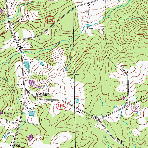 Topographic Map of Rice Airfarm (historical), NC
