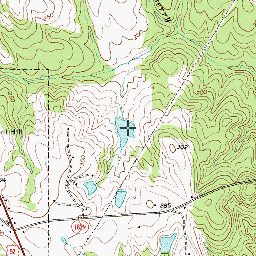 Topographic Map of Nelson Lake, NC