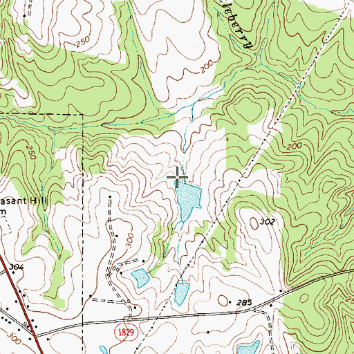 Topographic Map of Nelson Lake Dam, NC