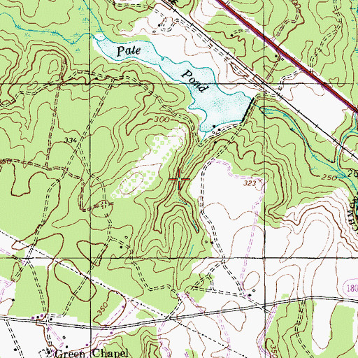 Topographic Map of Pates Lake Number Two, NC