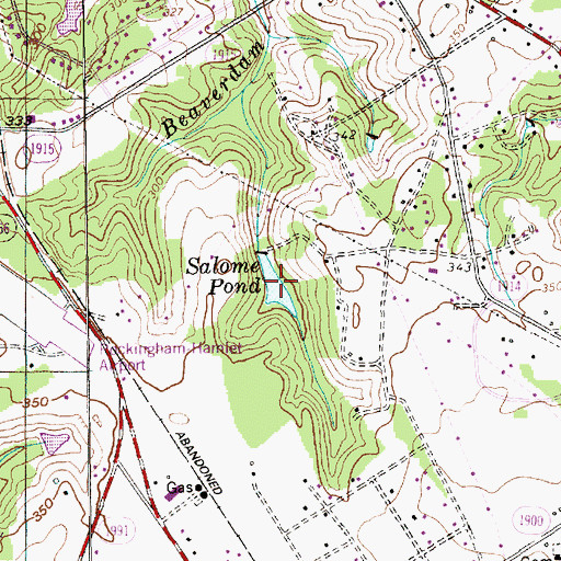 Topographic Map of Bland Pond, NC
