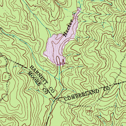 Topographic Map of Weyerhaeuser Company Dam, NC