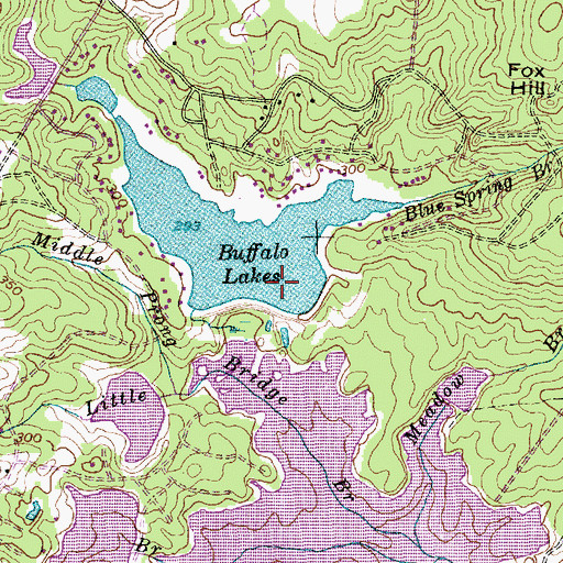 Topographic Map of Buffalo Lake Dam, NC