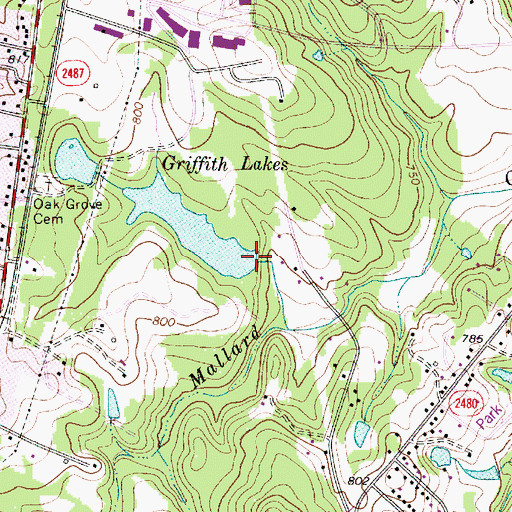 Topographic Map of Griffin Lake Number Two Dam, NC