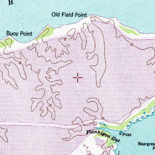 Topographic Map of T G Slimes Pond Number One, NC
