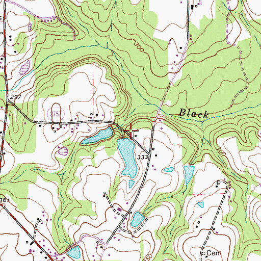 Topographic Map of W I Rowland Pond, NC