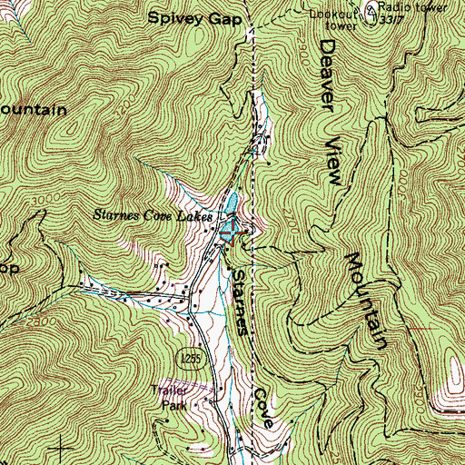 Topographic Map of Starnes Cove Fishing Lake Dam, NC